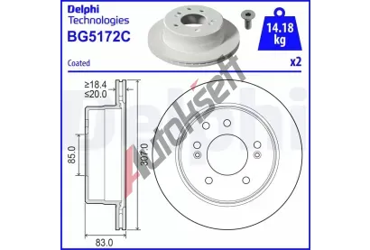 DELPHI Brzdov kotou - 307 mm DF BG5172C, BG5172C