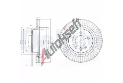DELPHI Brzdov kotou - 317 mm DF BG9006C, BG9006C