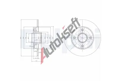 DELPHI Brzdov kotou s loiskem - 249 mm DF BG9022RSC, BG9022RSC