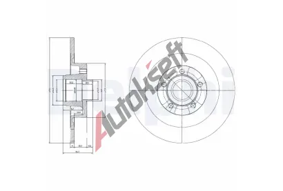 DELPHI Brzdov kotou s loiskem - 300 mm DF BG9024RS, BG9024RS