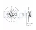 Brzdov kotou DELPHI ‐ DF BG9025RS