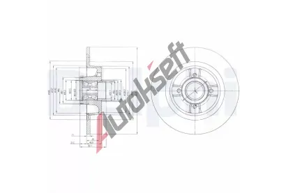 DELPHI Brzdov kotou - 274 mm DF BG9029RSC, BG9029RSC