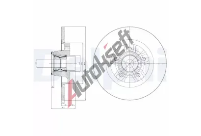 DELPHI Brzdov kotou s loiskem - 274 mm DF BG9113RSC, BG9113RSC