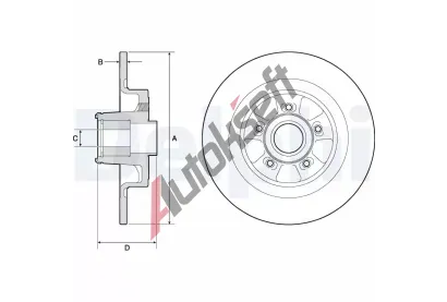 DELPHI Brzdov kotou s loiskem - 300 mm DF BG9133RS, BG9133RS