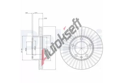 DELPHI Brzdov kotou - 305 mm DF BG9692, BG9692