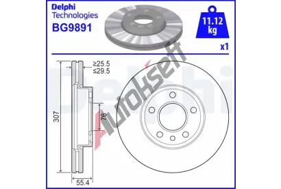 DELPHI Brzdov kotou - 307 mm DF BG9891, BG9891