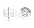 DELPHI Brzdov kotou - 330 mm ‐ DF BG9949