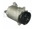 DELPHI Kompresor klimatizace DF CS20305-12B1, CS20305-12B1