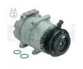 DELPHI Kompresor klimatizace DF CS20324, CS20324