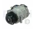 DELPHI Kompresor klimatizace DF CS20378, CS20378