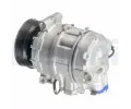 DELPHI Kompresor klimatizace DF CS20475, CS20475