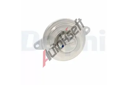 DELPHI AGR ventil DF EG10515-12B1, EG10515-12B1