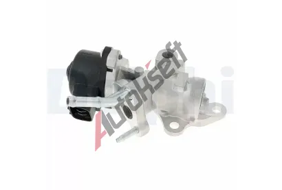 DELPHI AGR ventil DF EG10533-12B1, EG10533-12B1