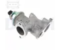 DELPHI AGR ventil DF EG10639-12B1, EG10639-12B1