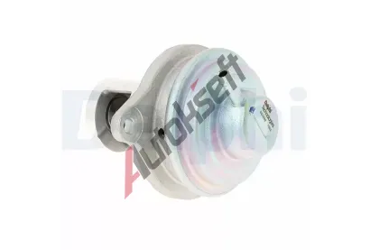 DELPHI AGR ventil DF EG10656-12B1, EG10656-12B1
