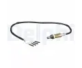 Lambda sonda DELPHI ‐ DF ES21105-12B1