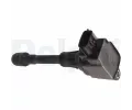 DELPHI Zapalovac cvka ‐ DF GN10241-12B1