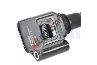 DELPHI Zapalovac cvka DF GN11119-12B1, GN11119-12B1