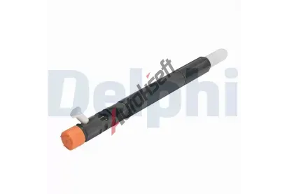 DELPHI Vst�ikovac� ventil DF R04501D-12B1, R04501D-12B1