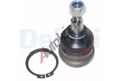 DELPHI ep ramene DF TC1243, TC1243