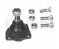 ep ramene DELPHI ‐ DF TC195