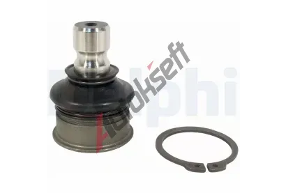 DELPHI ep ramene DF TC2431, TC2431