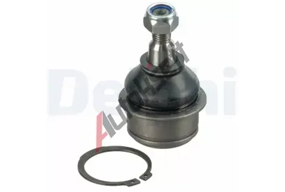 DELPHI ep ramene DF TC3675, TC3675