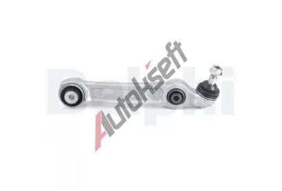 DELPHI Rameno zaven kol DF TC4934, TC4934