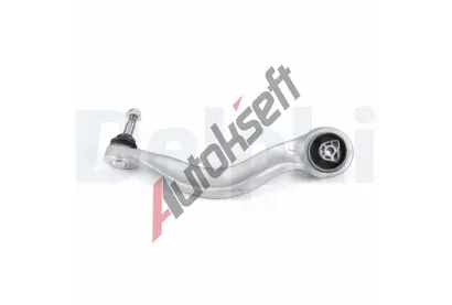 DELPHI Rameno zaven kol DF TC4956, TC4956