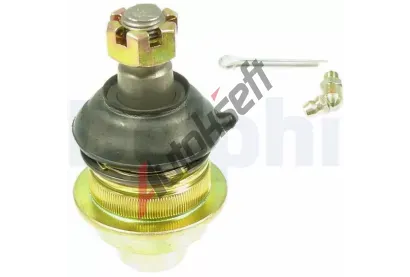 DELPHI ep ramene DF TC594, TC594