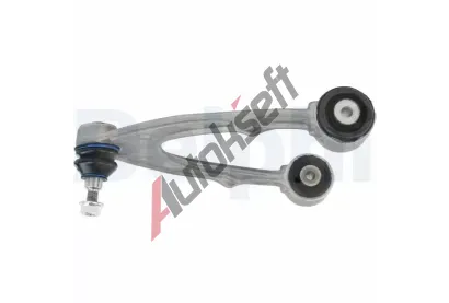 DELPHI Rameno zaven kol DF TC7839, TC7839