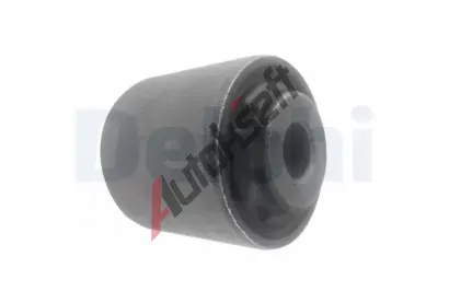 DELPHI Uloen dicho mechanismu DF TD1748W, TD1748W