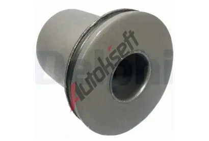 DELPHI Uloen dicho mechanismu DF TD697W, TD697W