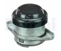 Zaven motoru DELPHI ‐ DF TEM077