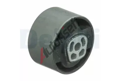 DELPHI Zaven motoru DF TEM089, TEM089