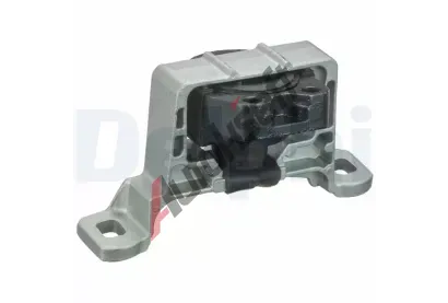 DELPHI Zav�en� motoru DF TEM096, TEM096