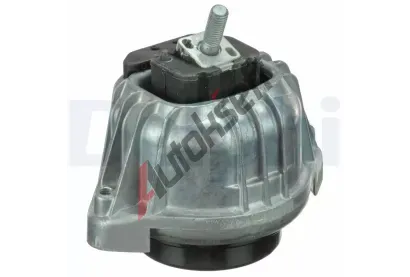 DELPHI Zaven motoru DF TEM099, TEM099