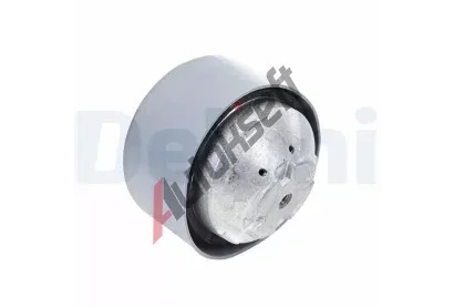 DELPHI Zaven motoru DF TEM134, TEM134