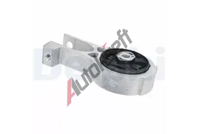 DELPHI Zav�en� motoru DF TEM141, TEM141