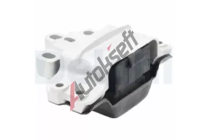 DELPHI Zaven motoru DF TEM196, TEM196