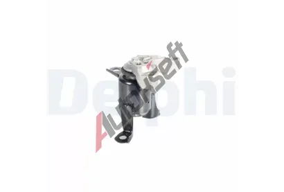 DELPHI Zav�en� motoru DF TEM270, TEM270