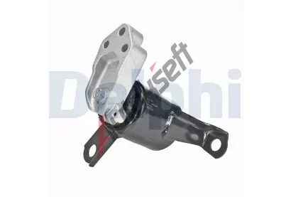 DELPHI Zav�en� motoru DF TEM278, TEM278