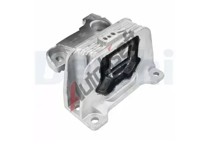 DELPHI Zav�en� motoru DF TEM293, TEM293