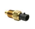 DELPHI Senzor teploty chladic kapaliny DF TS10019-11B1, TS10019-11B1