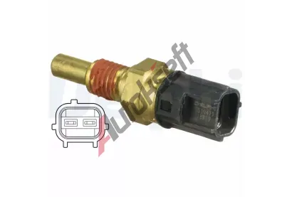 DELPHI Senzor teploty chladic kapaliny DF TS10479, TS10479