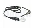 idlo teploty vfukovch plyn DELPHI ‐ DF TS30025