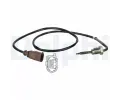idlo teploty vfukovch plyn DELPHI ‐ DF TS30037