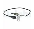 idlo teploty vfukovch plyn DELPHI ‐ DF TS30038
