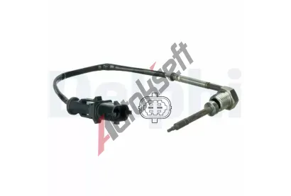 DELPHI idlo teploty vfukovch plyn DF TS30066, TS30066