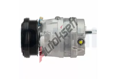 DELPHI Kompresor klimatizace DF TSP0155656, TSP0155656